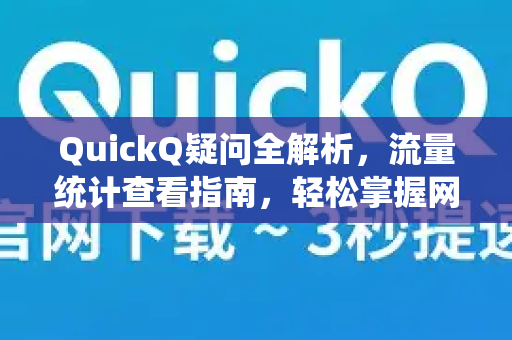 QuickQ疑问全解析，流量统计查看指南，轻松掌握网络动态