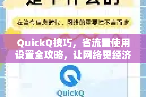 QuickQ技巧，省流量使用设置全攻略，让网络更经济高效