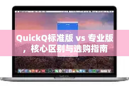 QuickQ标准版 vs 专业版，核心区别与选购指南